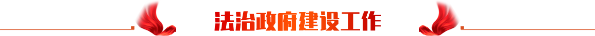 法治政府建设工作 fzzfjs_title1.png