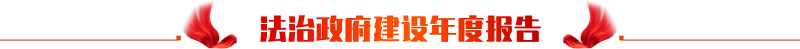 法治政府建设年度报告 fzzfjs_title2.png